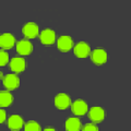 Greenshot(屏幕截图软件)